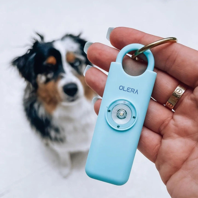 Auvi™ Original Safety Alarm
